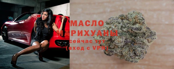 индика Дмитровск