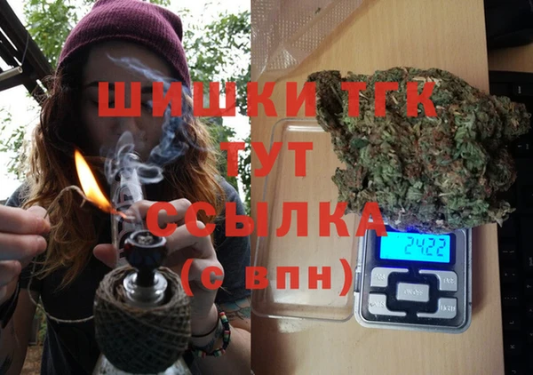 гидропоника Дмитриев
