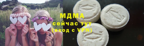 индика Дмитровск