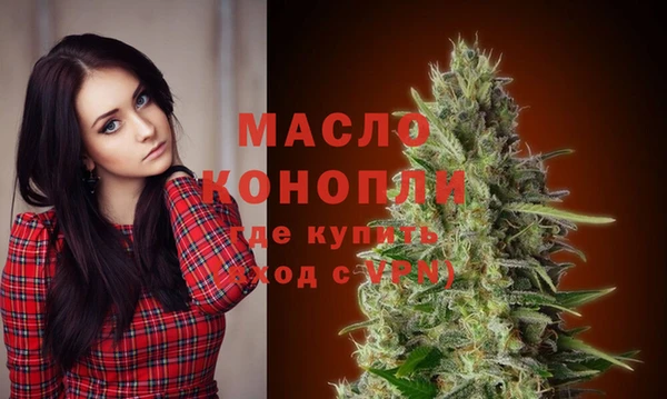 гидропоника Дмитриев