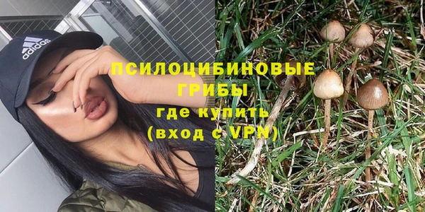 гидропоника Дмитриев