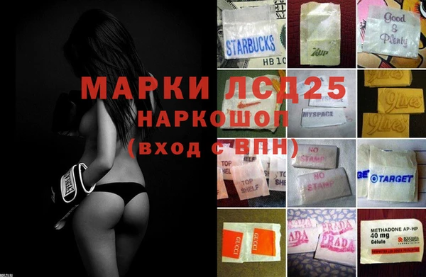 индика Дмитровск