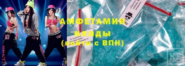 индика Дмитровск
