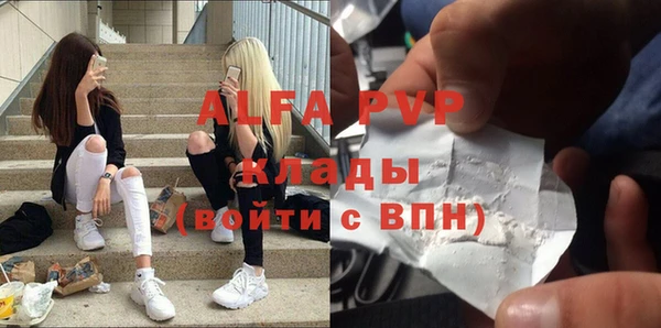 индика Дмитровск