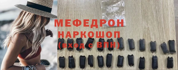 индика Дмитровск
