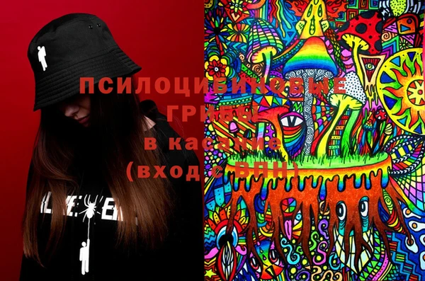 индика Дмитровск