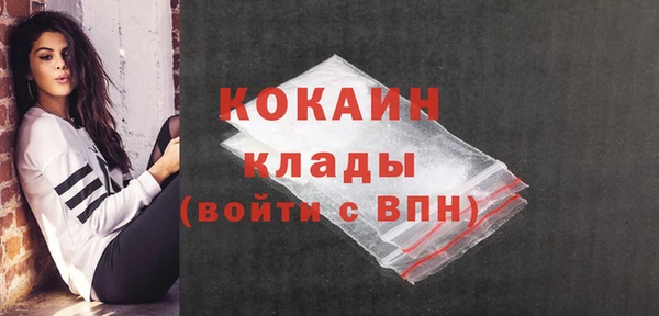 гидропоника Дмитриев