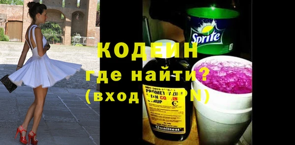 индика Дмитровск