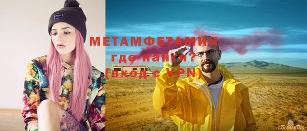 индика Дмитровск