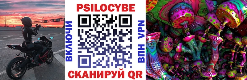 mega как зайти  цены   Новочебоксарск  Псилоцибиновые грибы Cubensis 
